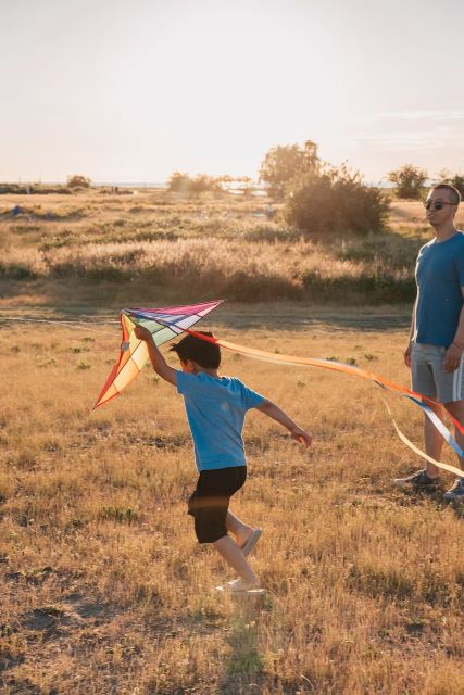 boy flying kite